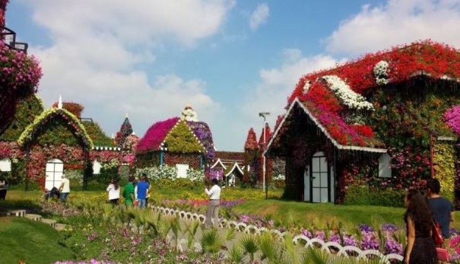 Over-the-top flower attraction