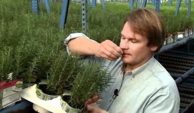 A study claims memory can be improved by smelling rosemary by 75%!